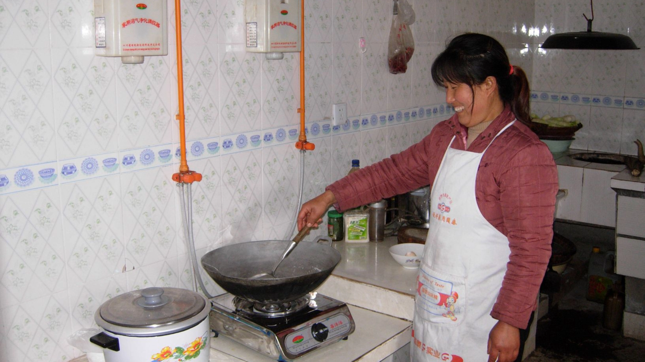 Frau kocht mit Biogas